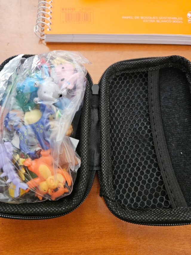 Estuche + 24 pokemon
