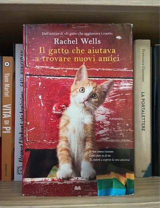 Libro: Il gatto che aiutava a trovare nuovi amici