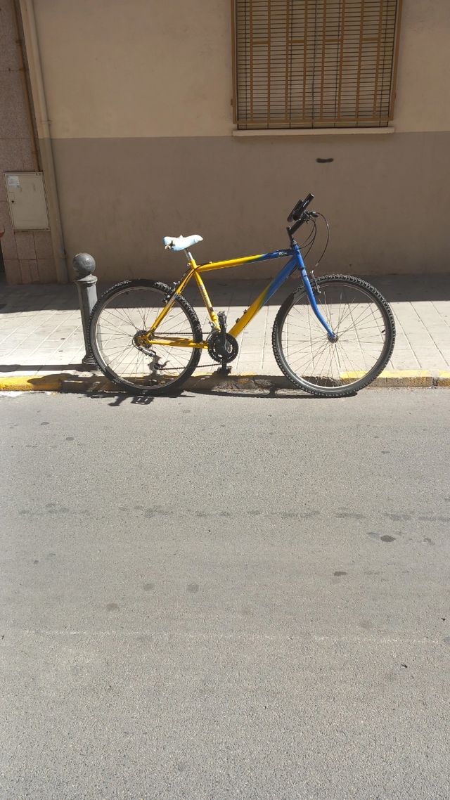 Bicicleta 