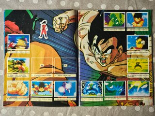 Álbum Dragon Ball Z Panini