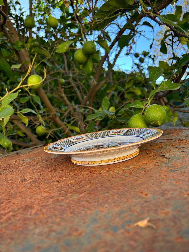 🇫🇷 Plato alto expositor Terre de Fer