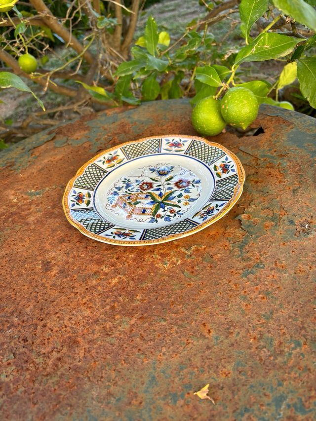 🇫🇷 Plato alto expositor Terre de Fer