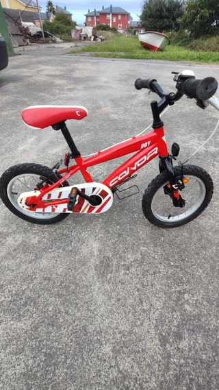 Bicicleta niña /o