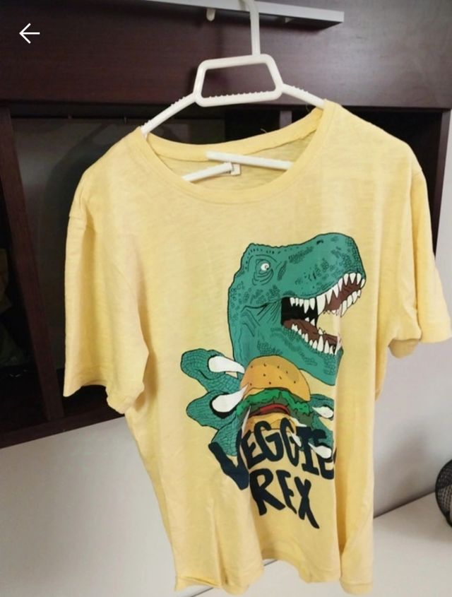 Camisetas niño talla 11