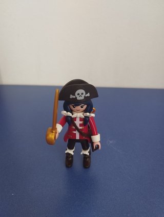 Colección de Figuras Playmobil