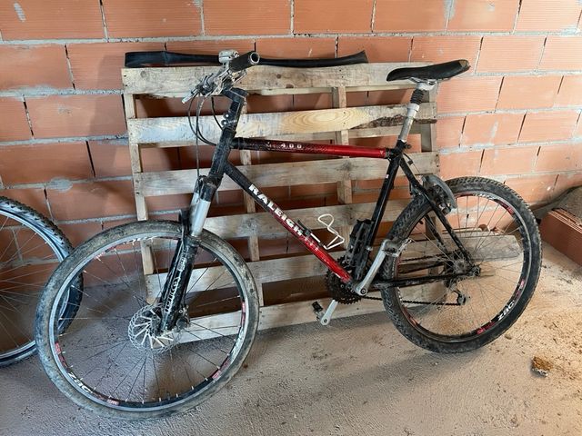Bicicleta