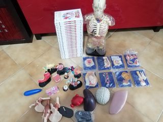 Esplorando il Corpo Umano completo