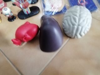 Esplorando il Corpo Umano completo