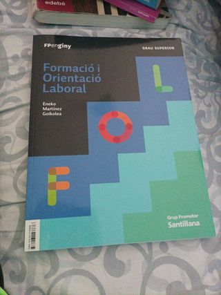FORMACIO I ORIENTACIO LABORAL GRAU SUPERIOR