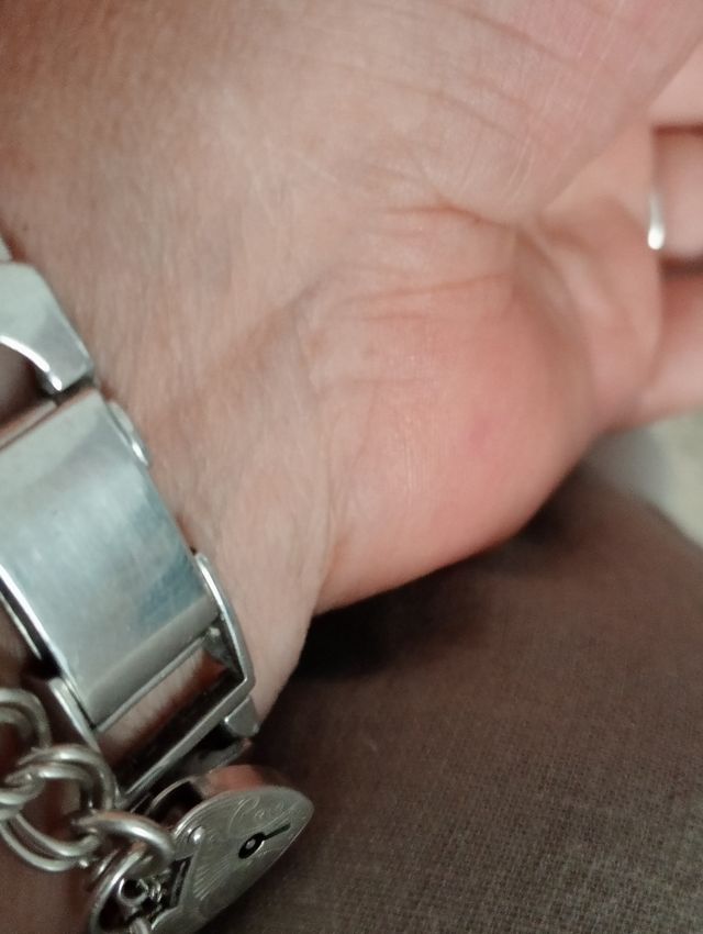 RELOJ DE MUJER PLATA,  MAQUINARIA SUIZA