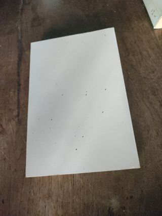 LOS SANTOS INOCENTES - MIGUEL DELIBES