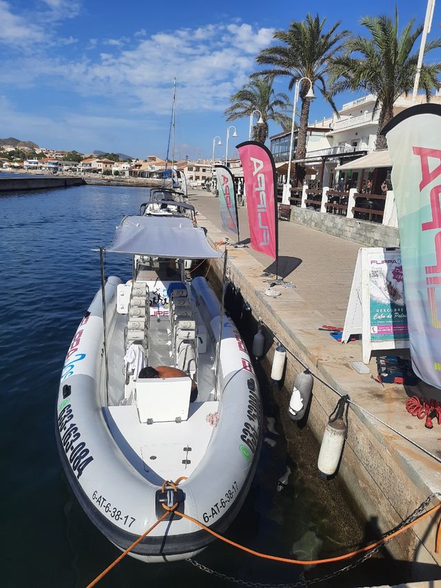 Semirrigida Lancha, zodiac 10 metros