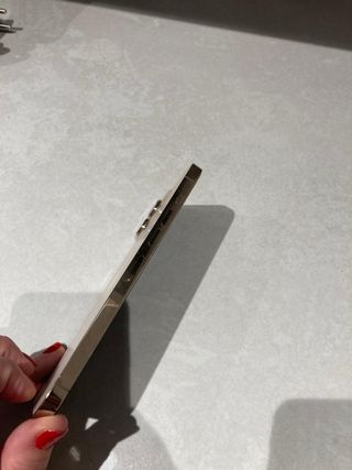 Iphone 13 pro max 256 gb