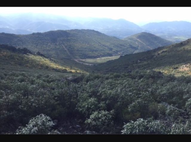 finca en venta valle del jerte