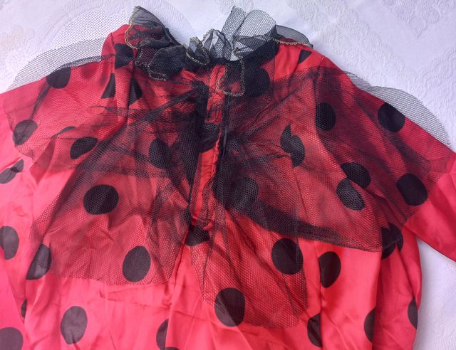 🎁👀👉   Disfraz MARIQUITA 