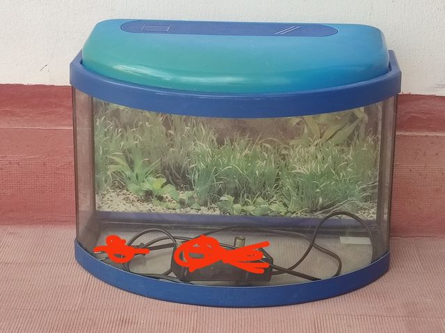  Pecera Azul,40cmx30cmx 25cm