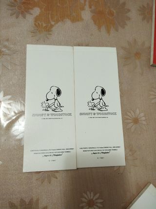 Due block notes vintage Snoopy