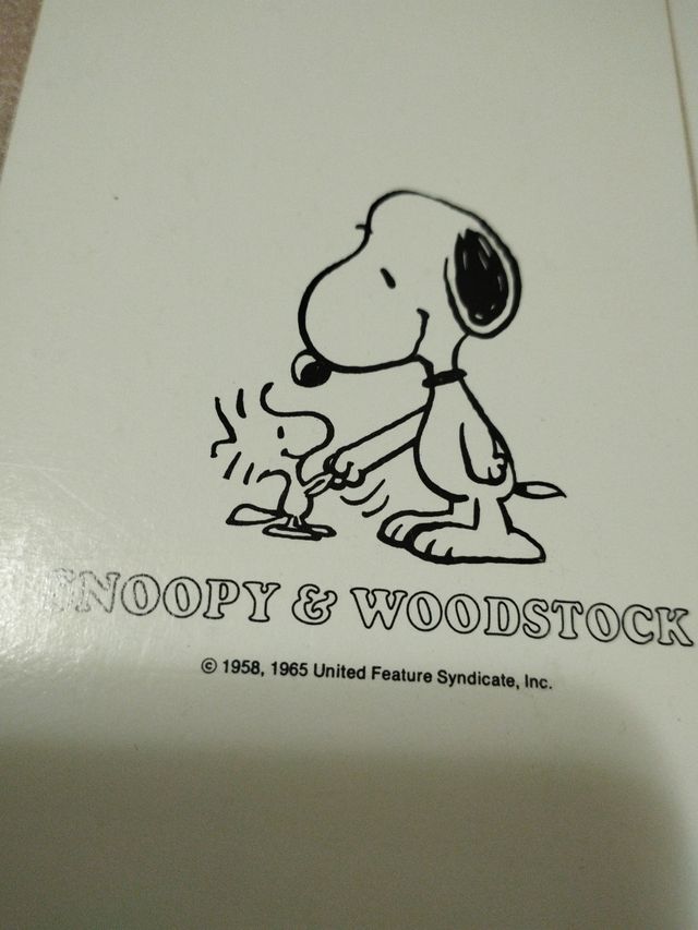 Due block notes vintage Snoopy