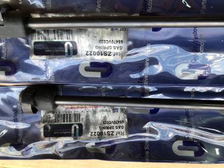 Muelles capo patrol y61