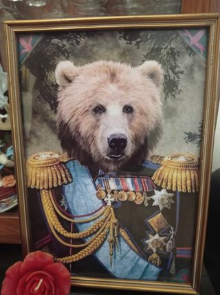 Comandante Oso