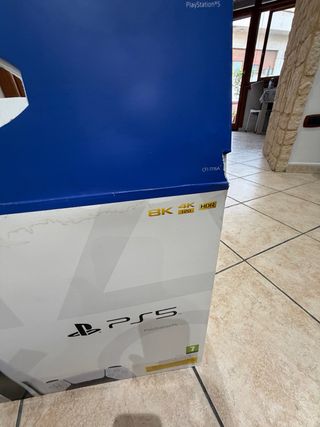 ps5 FAT e SLIM fw 3.0* 4.03* al 8.20 nuove EtaHen