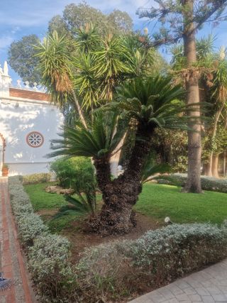 Jardinero 