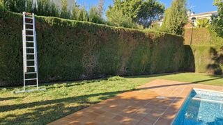 Jardinero 