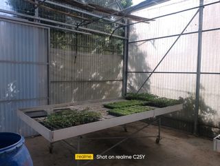 Mesas de cultivo. Mesas invernadero. 
