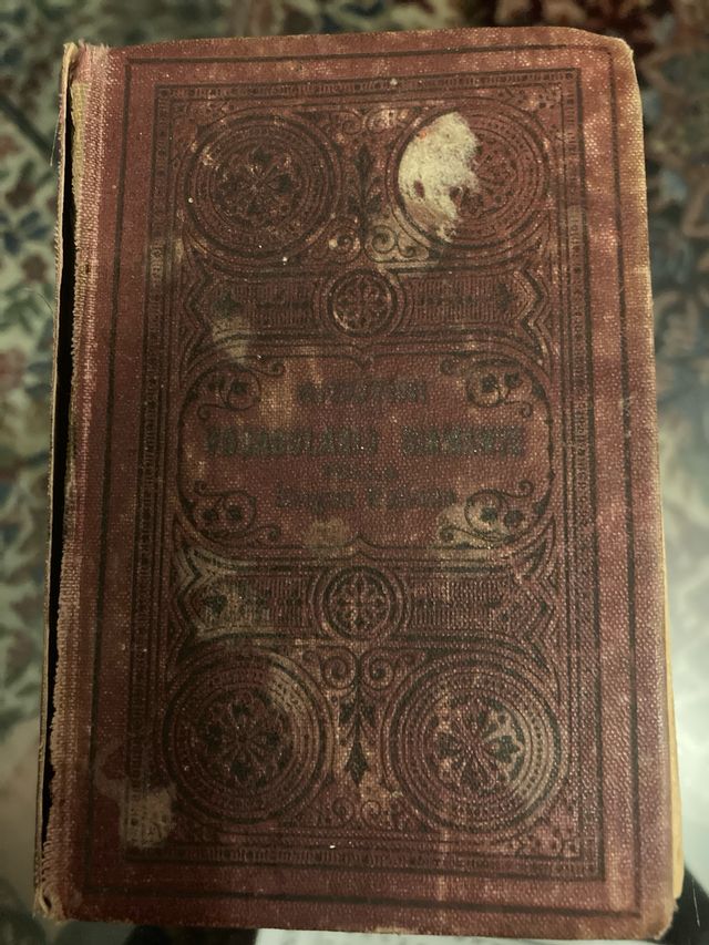 Vocabolario lingua italiana 1919/20