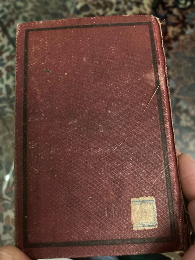 Vocabolario lingua italiana 1919/20