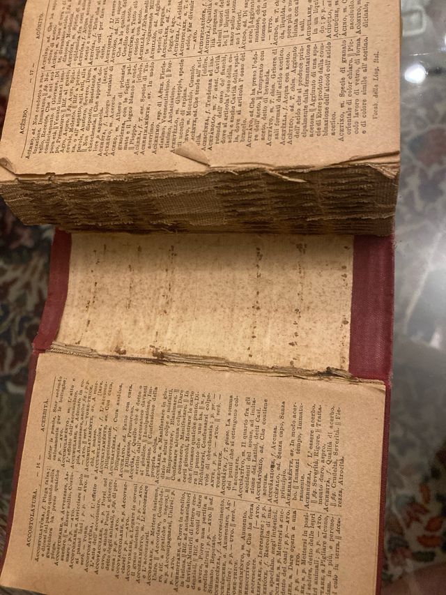 Vocabolario lingua italiana 1919/20