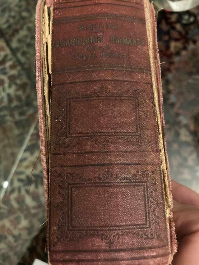 Vocabolario lingua italiana 1919/20