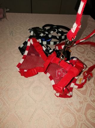 Parure pettorina e guinzaglio mis m