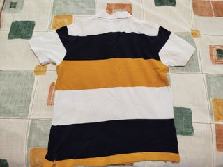 Ropa polo hombre 