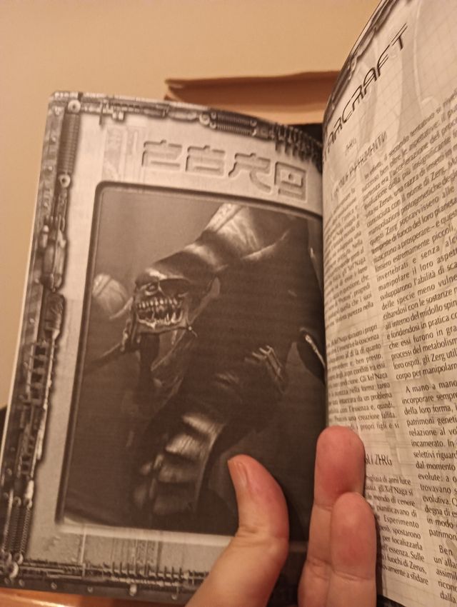 Starcraft - PC - Caja Grande