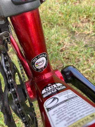 BICICLETA TREK + RODILLO TACX