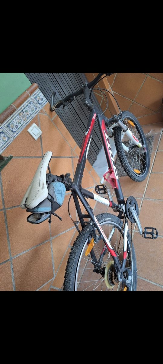 Bicicleta de montaña