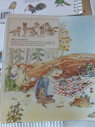 Colección de 4 libros SM Cuentos para aprender