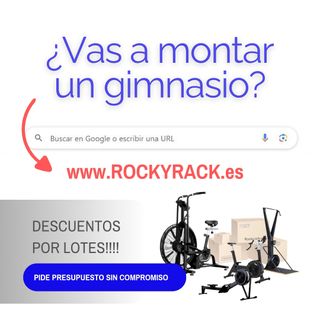 Air bike CrossFit precio rebaja Assault