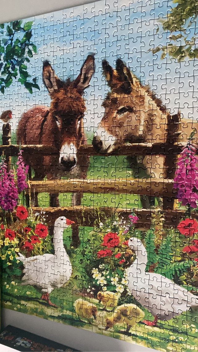 Puzzle burros 500