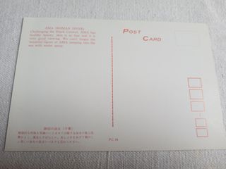 2 cartoline jal giappone