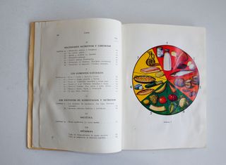 ALIMENTACIÓN Y NUTRICIÓN. VIVANCO y PALACIOS 1964