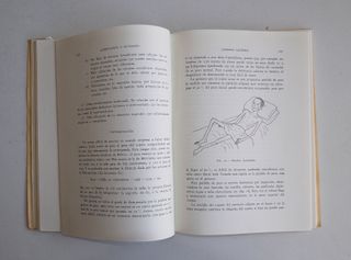 ALIMENTACIÓN Y NUTRICIÓN. VIVANCO y PALACIOS 1964