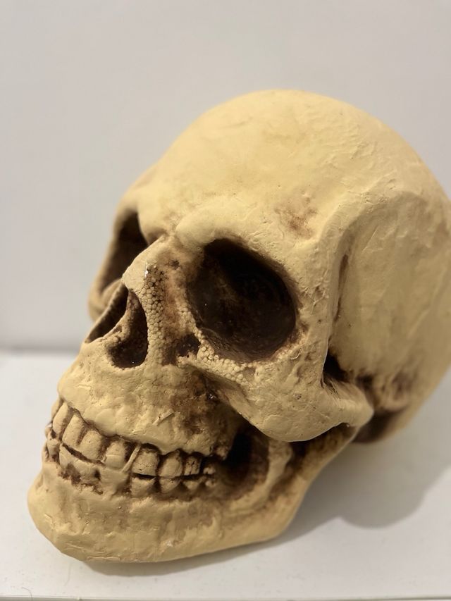 Calavera decorativa Hallowen