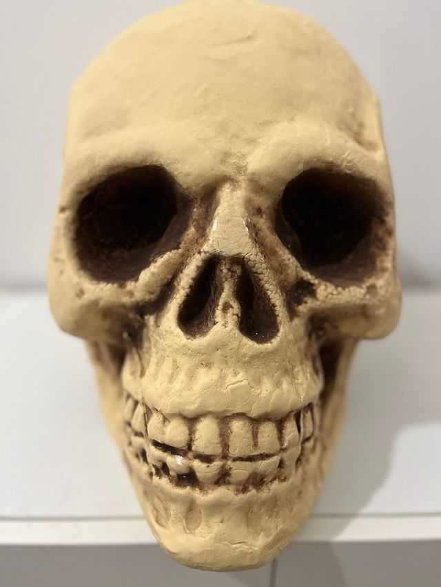 Calavera decorativa Hallowen