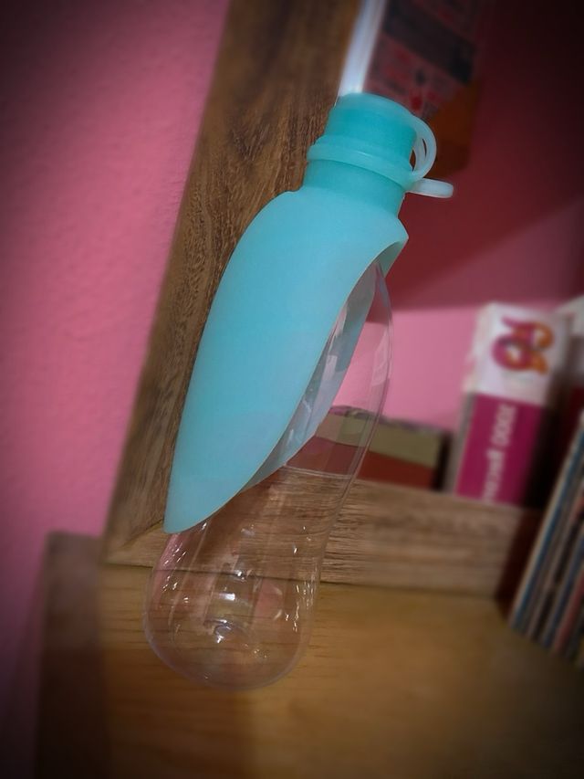 Bebedero UNITED PETS.