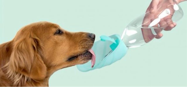 Bebedero UNITED PETS.