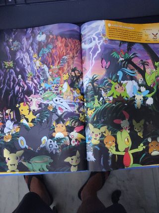 Libro de Pikachu Pokémon