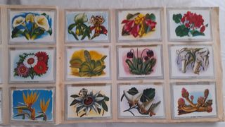 Vida y color album 1965