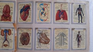 Vida y color album 1965